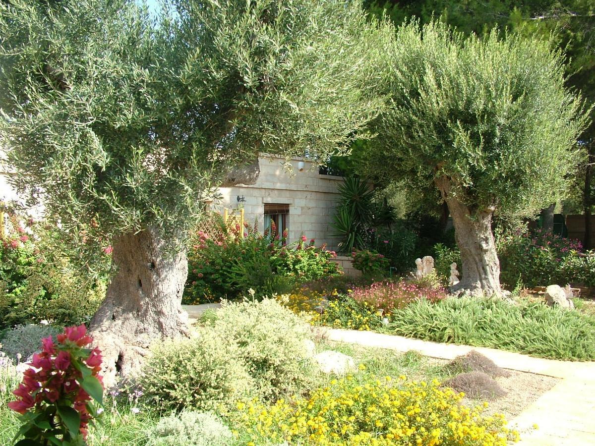 Villa Urania Torre San Giovanni Ugento Exteriör bild